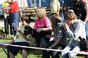 Bild 679
